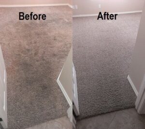 Before and After carpet cleaning for a residential home in Rosebank
