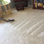 Professional Carpet Cleaning Services Bryanston