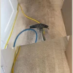 Professional carpet cleaning services Johannesburg