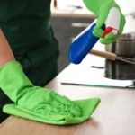 Move-In/Move-Out Cleaning Northriding