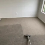 carpet cleaners randburg